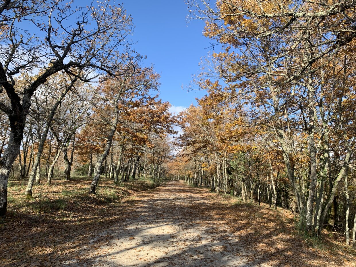 herfst bij Polmone Turismo Verde