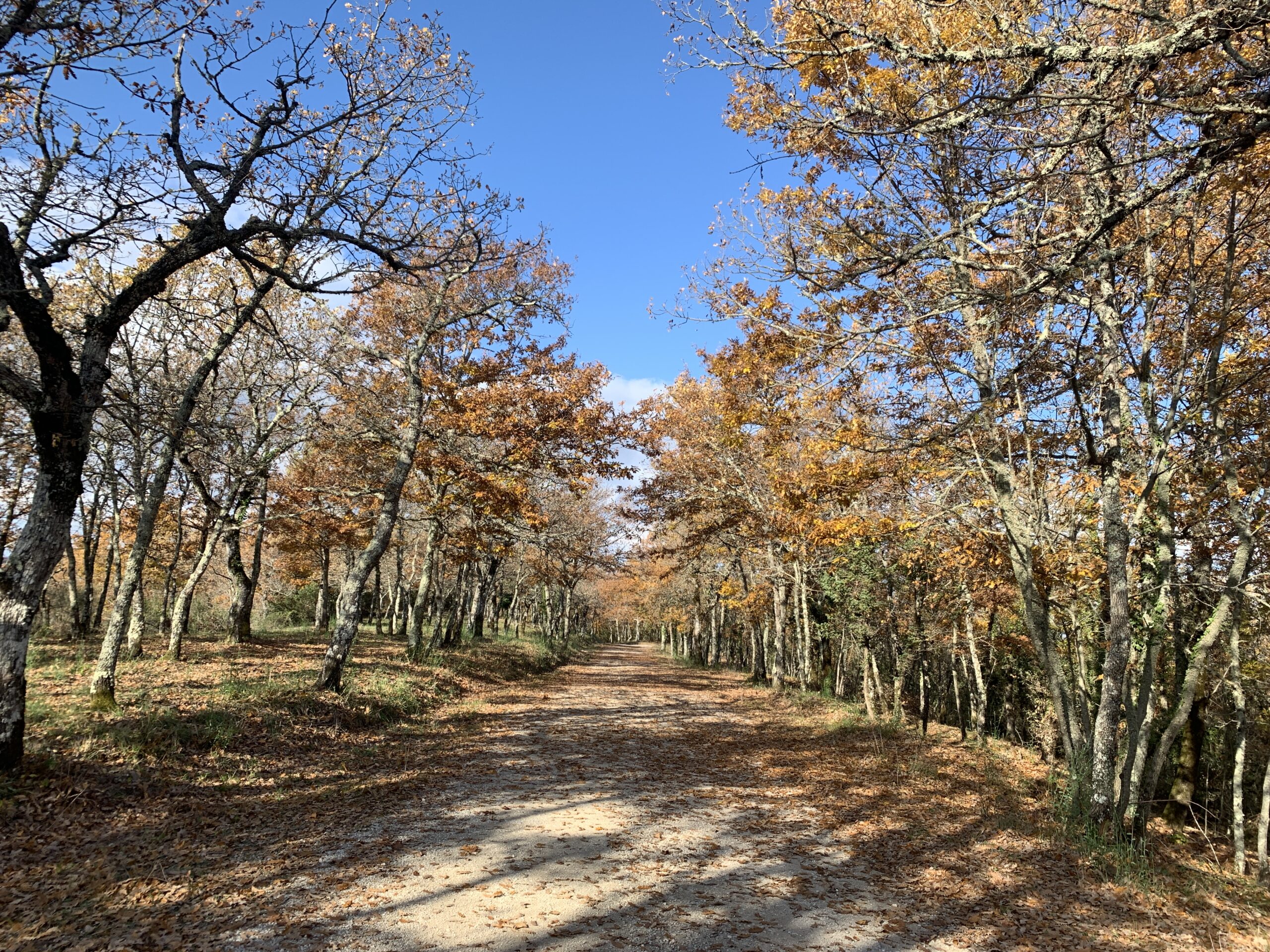 Autumn at Polmone Turismo Verde